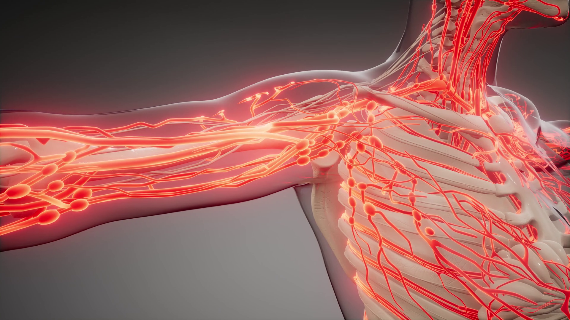 Blood vessels joining