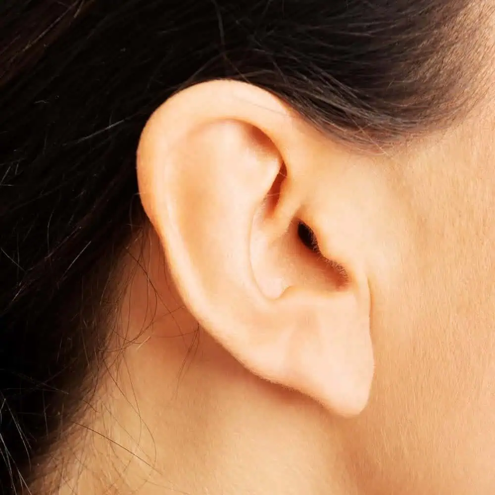 ear-lobe repair