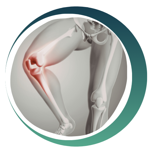 PRP Therapy for Joint, Sports Injury & Pain Management