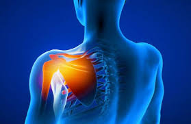 Best Shoulder Surgeon In Hoshangabad (Narmadapuram)