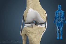 Ligament Repair and Reconstruction in Nagpur