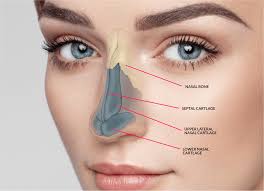 Rhinoplasty in Balod