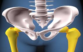 Robotic Hip Replacement in Dhamtari
