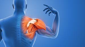 Rotator Cuff Injury Treatment in Nagpur