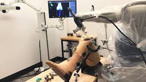 Robotic knee replacement in Neemach