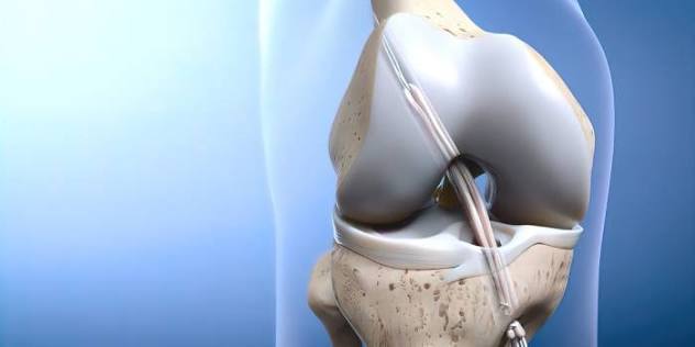Best Knee Ligament Surgeon In Narsinghpur