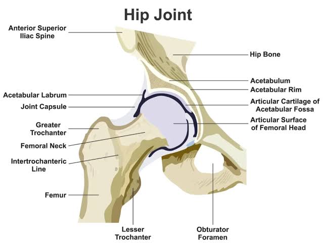 Hip joint function improvement in Nagpur
